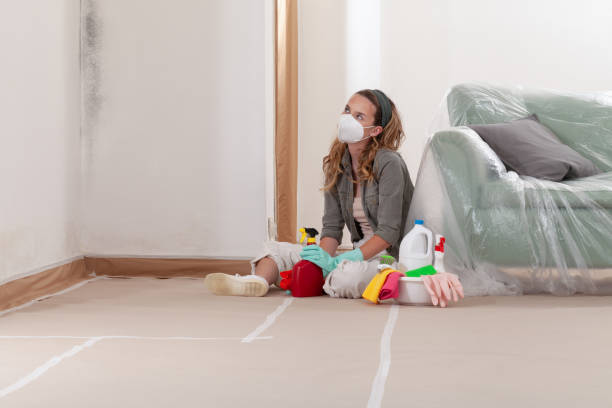 Reliable Mold Remediation contractor in Maryland, MD by WQB Mold Removal